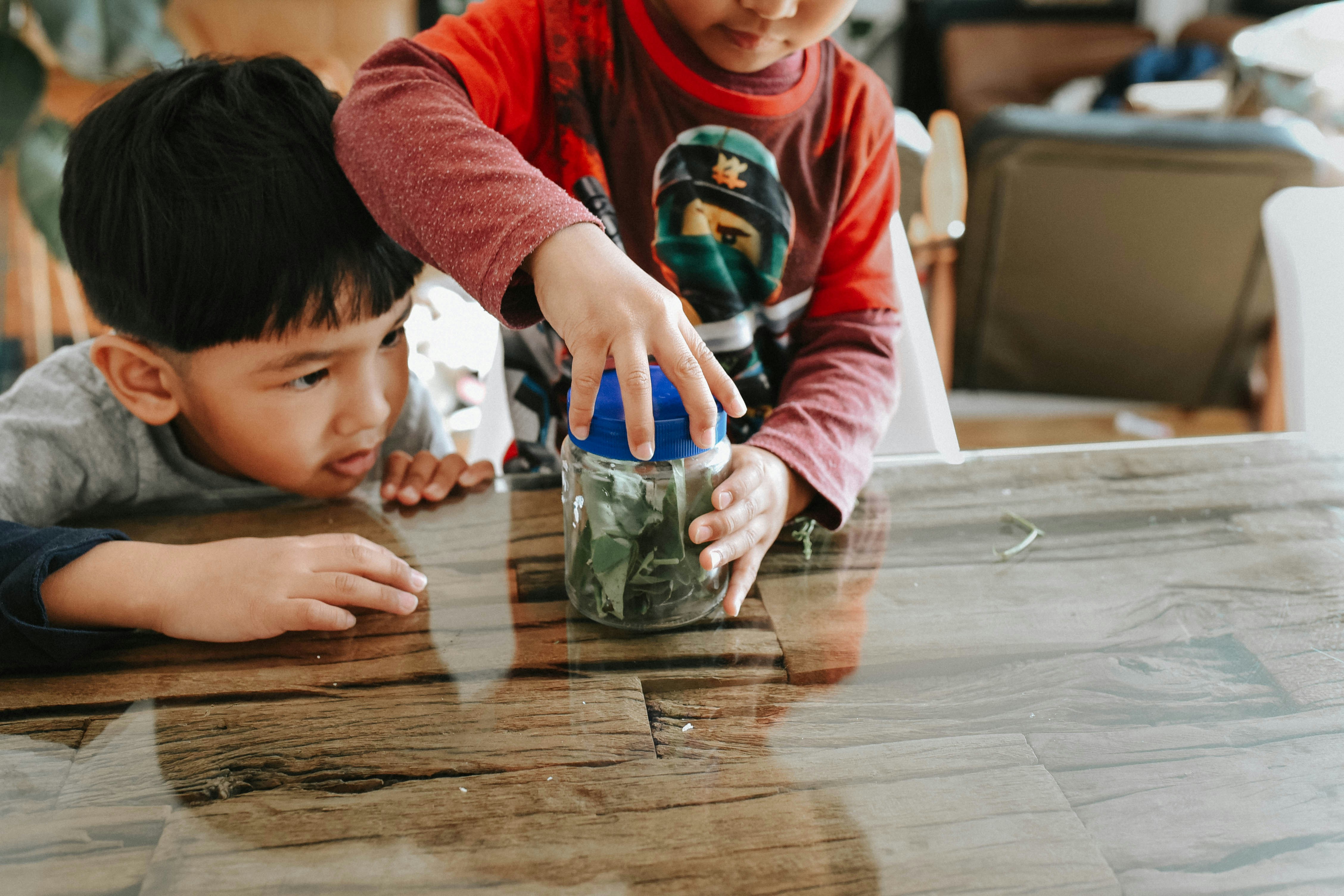 Children Investment